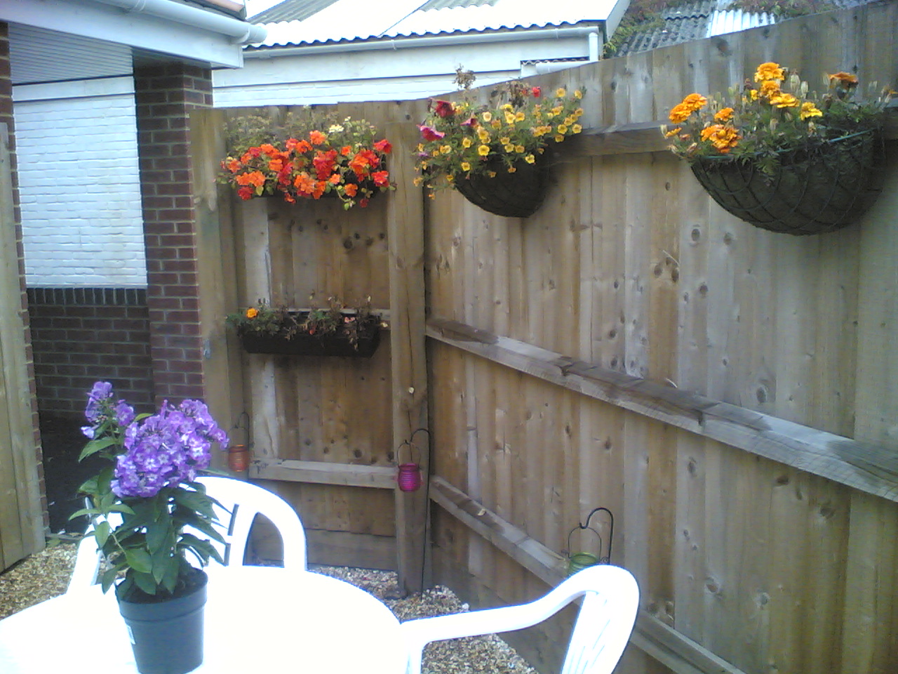 Our garden space